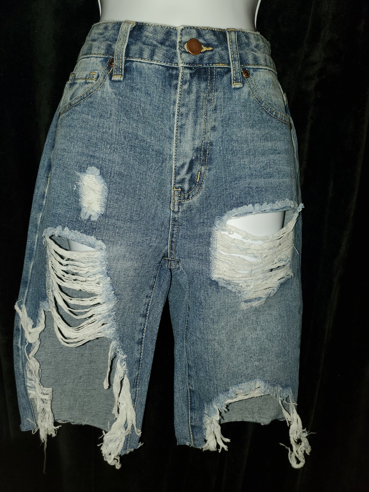 Fashion Nova's Ayesha Longline Denim Shorts