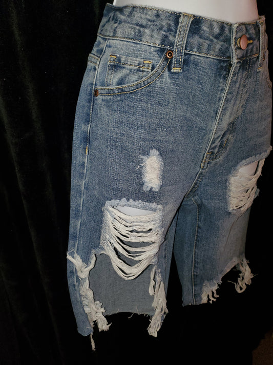 Fashion Nova's Ayesha Longline Denim Shorts